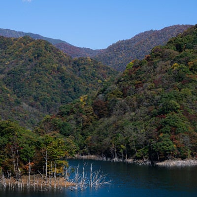 徳山湖を囲み連なる紅葉した山の写真
