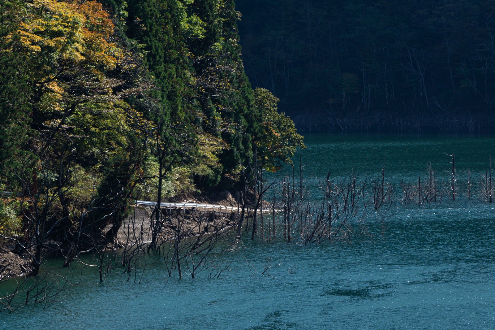 「沈んだ村へと続く徳山湖畔に見えるガードレール」の写真