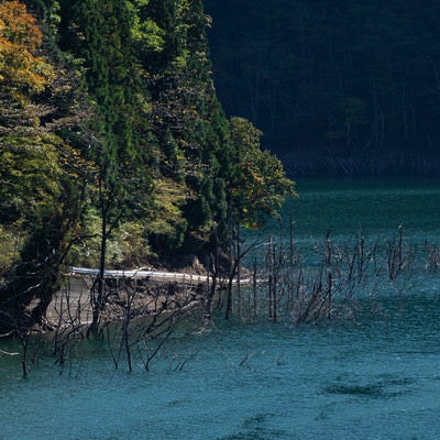 沈んだ村へと続く徳山湖畔に見えるガードレールの写真