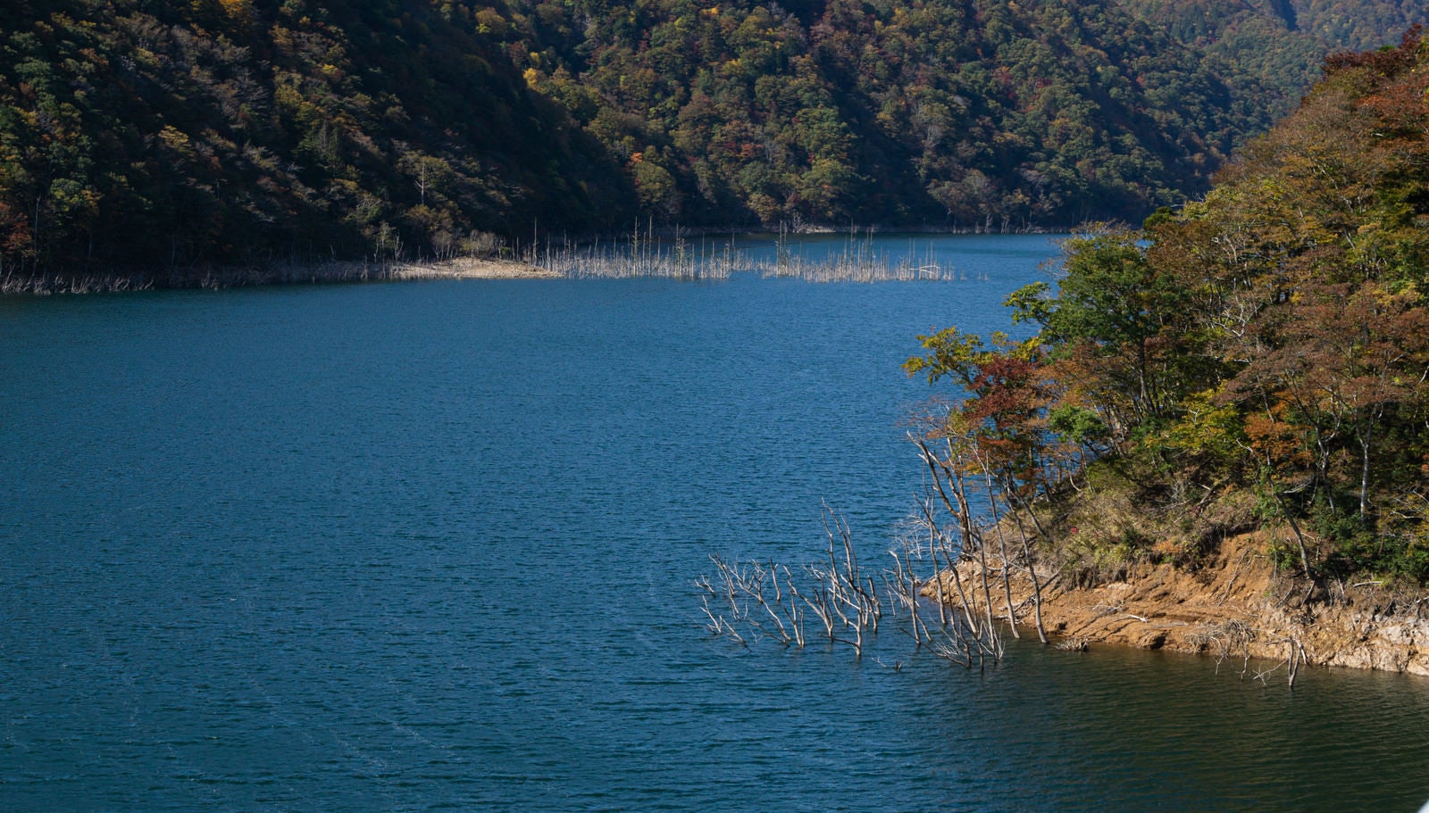 「風で細かく波立つ秋の徳山湖湖面」の写真