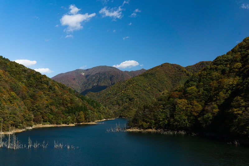 色づいた山に囲まれた徳山湖の写真