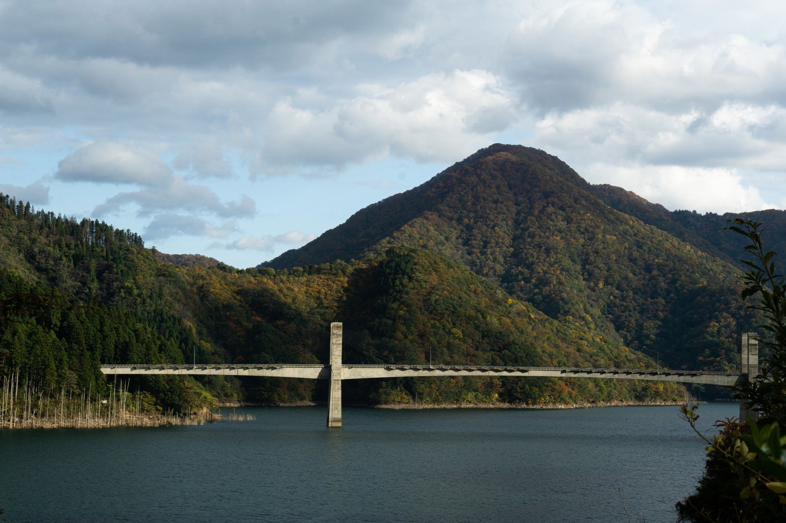 「エクストラドーズド橋として世界最長の支間長を誇る徳山湖にかかる徳之山八徳橋」の写真