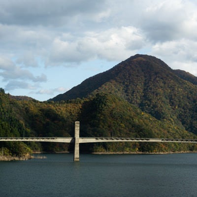 エクストラドーズド橋として世界最長の支間長を誇る徳山湖にかかる徳之山八徳橋の写真