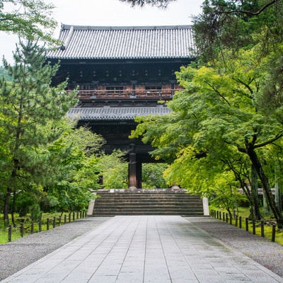 新緑に囲まれる南禅寺三門の写真