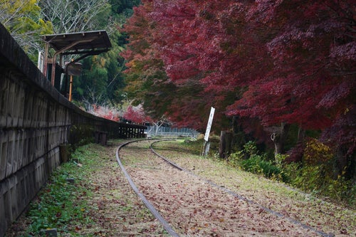 紅葉に囲まれた廃駅の写真