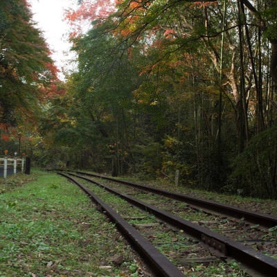 初秋の紅葉と錆びついた線路の写真