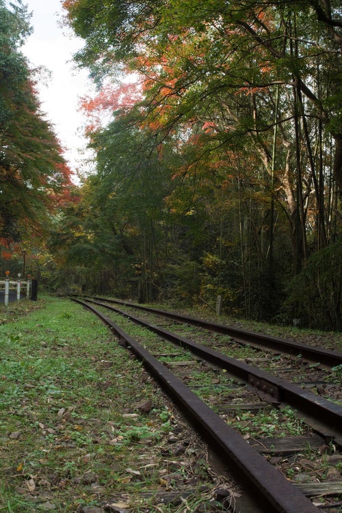 初秋の紅葉と錆びついた線路の写真
