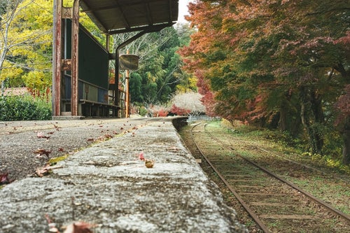 廃駅のホームに落ちる紅葉の写真
