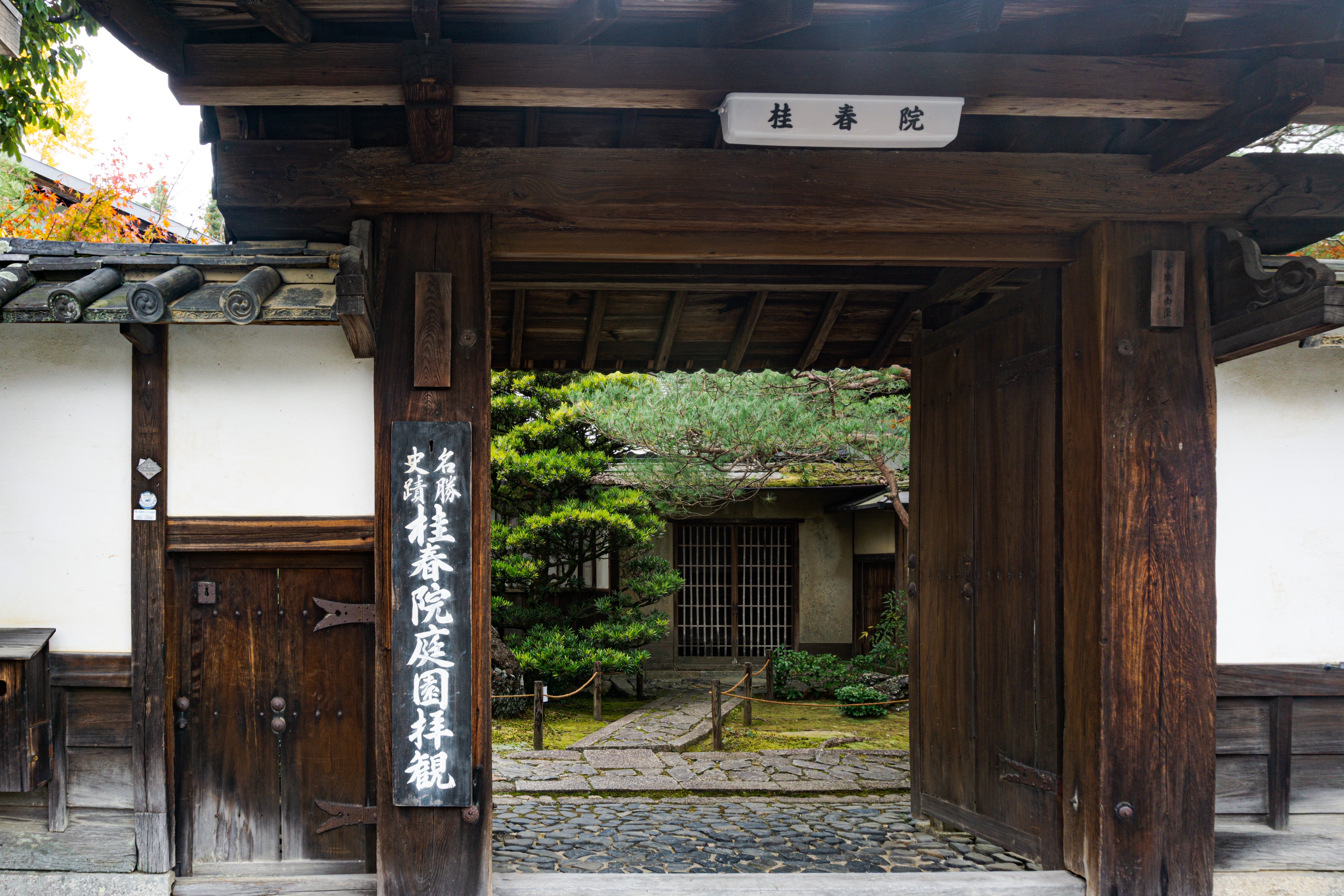 zubottysDSC00013215.jpg?&