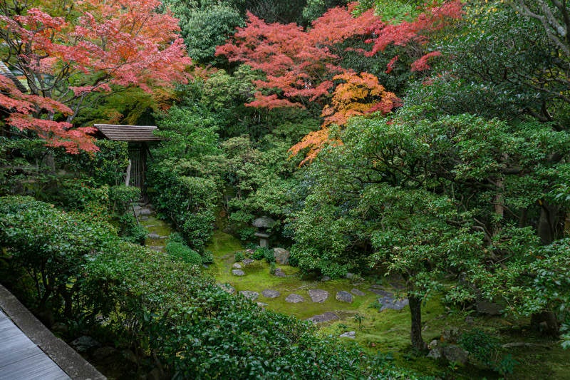 秋の桂春院「思惟（しい）の庭」の眺めの写真