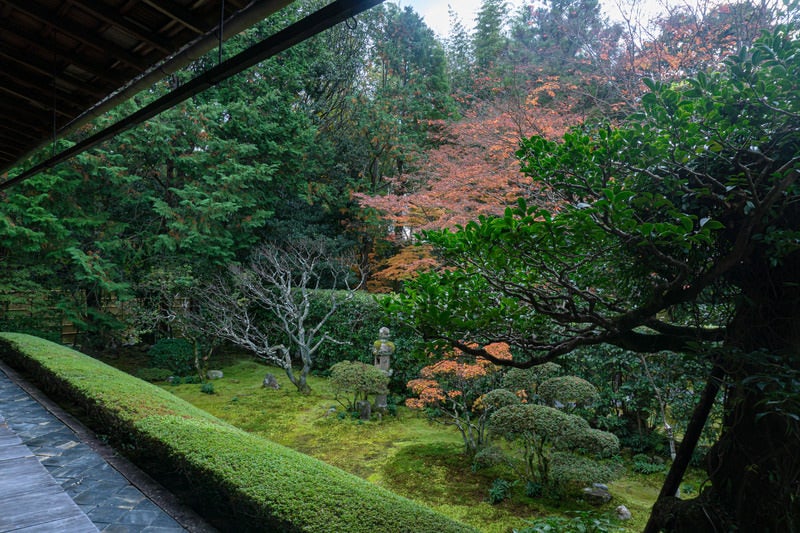 妙心寺桂春院の方丈から眺める「真如（しんにょ）の庭」の写真