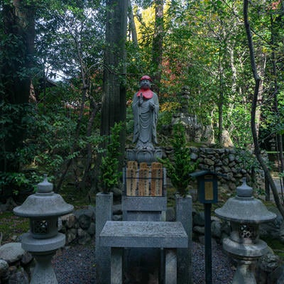 桂春院のお庭に立つ石仏の写真