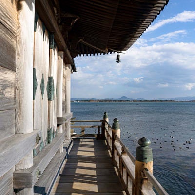 多くの水鳥が休む琵琶湖の湖面を浮御堂回廊から眺めるの写真