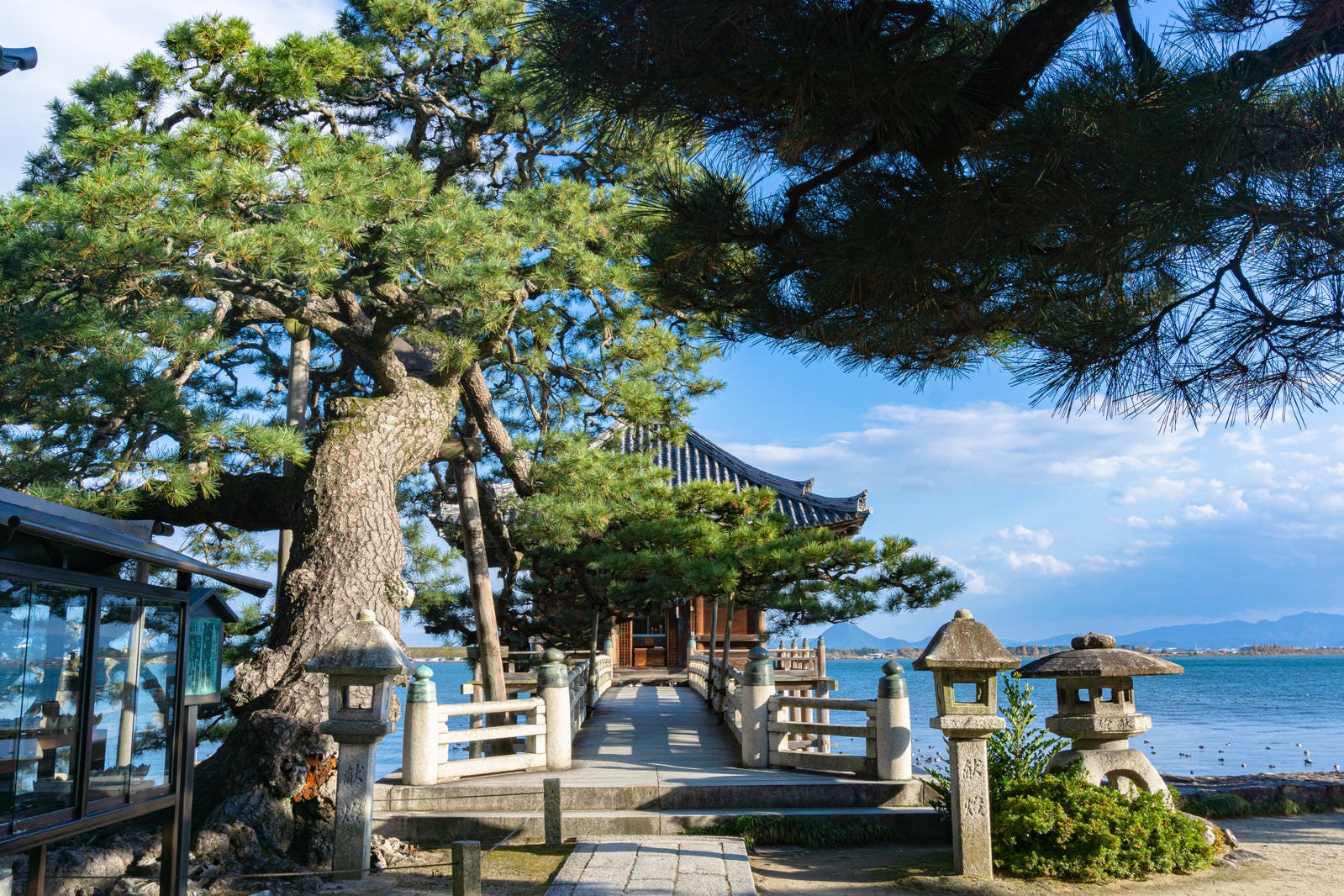 「境内の見事な松の木と石橋の先の浮御堂」の写真