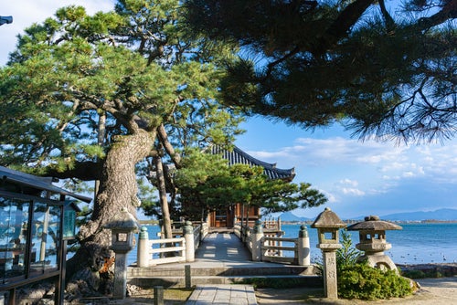 境内の見事な松の木と石橋の先の浮御堂の写真