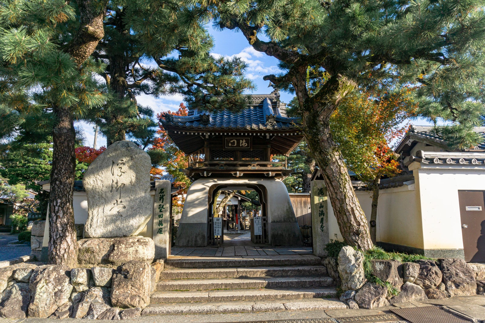 「松の木に囲まれて建つ浮御堂山門」の写真