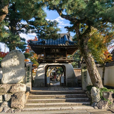 松の木に囲まれて建つ浮御堂山門の写真