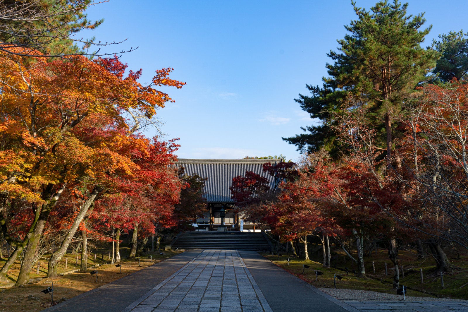 「紅葉の奥に見える仁和寺の金堂」の写真
