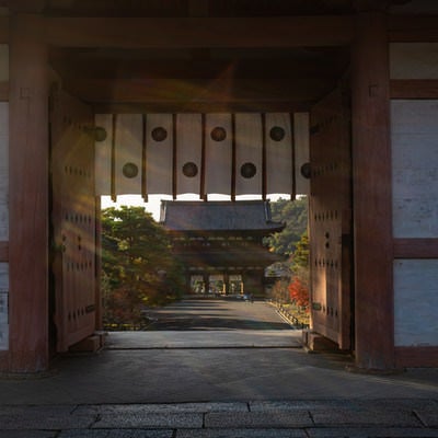 日の光が溢れる中門から見える仁王門の写真