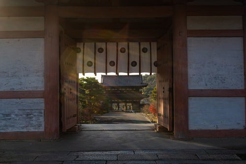 日の光が溢れる中門から見える仁王門の写真