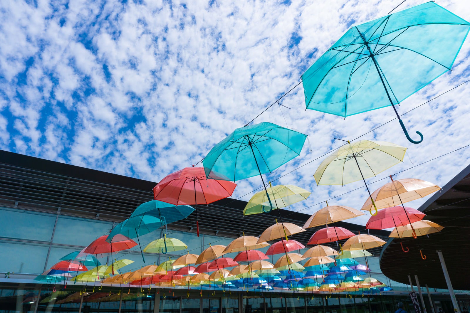 「道の駅「パレットピアおおの」のカラフルな傘を見上げて楽しむアンブレラスカイと羊雲」の写真