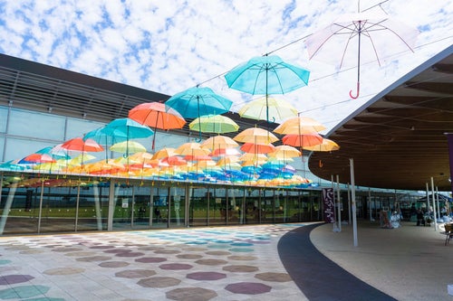 見上げるカラフルな傘の列が足元も影で彩る（道の駅パレットピアおおの 岐阜県）の写真