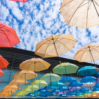 晴れた空を彩る傘の花（道の駅パレットピアおおの）の写真