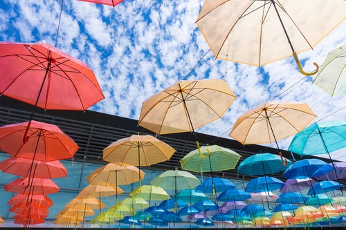 晴れた空を彩る傘の花（道の駅パレットピアおおの）の写真