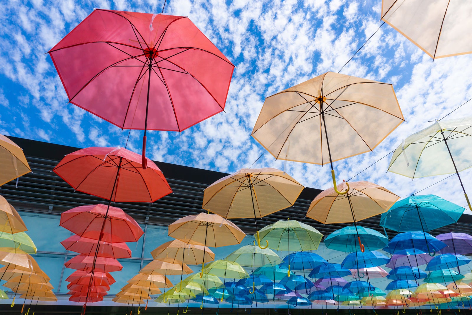 「細かな模様を描く美しい空ときれいに並ぶ色とりどりの傘」の写真