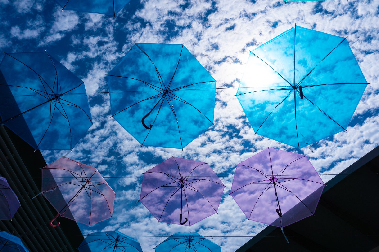 「青い傘と羊雲の青空」の写真