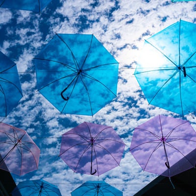 青い傘と羊雲の青空の写真