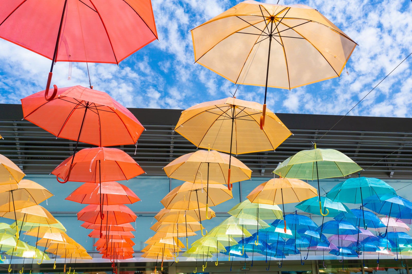「虹のように綺麗に並ぶたくさんのカラフルな傘（道の駅パレットピアおおの）」の写真