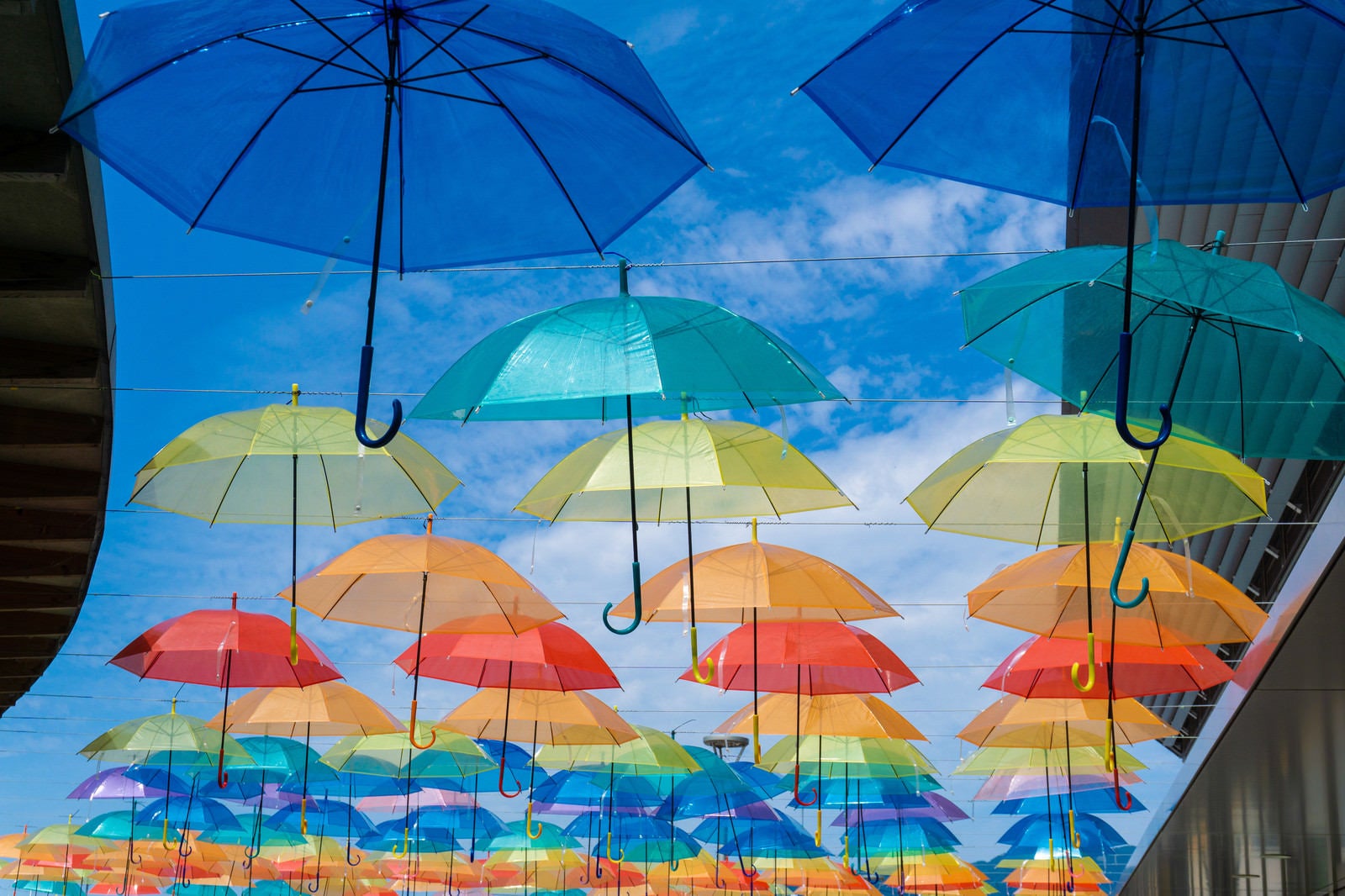 「頭上を彩る沢山の色とりどりの傘（道の駅パレットピアおおの 岐阜県）」の写真