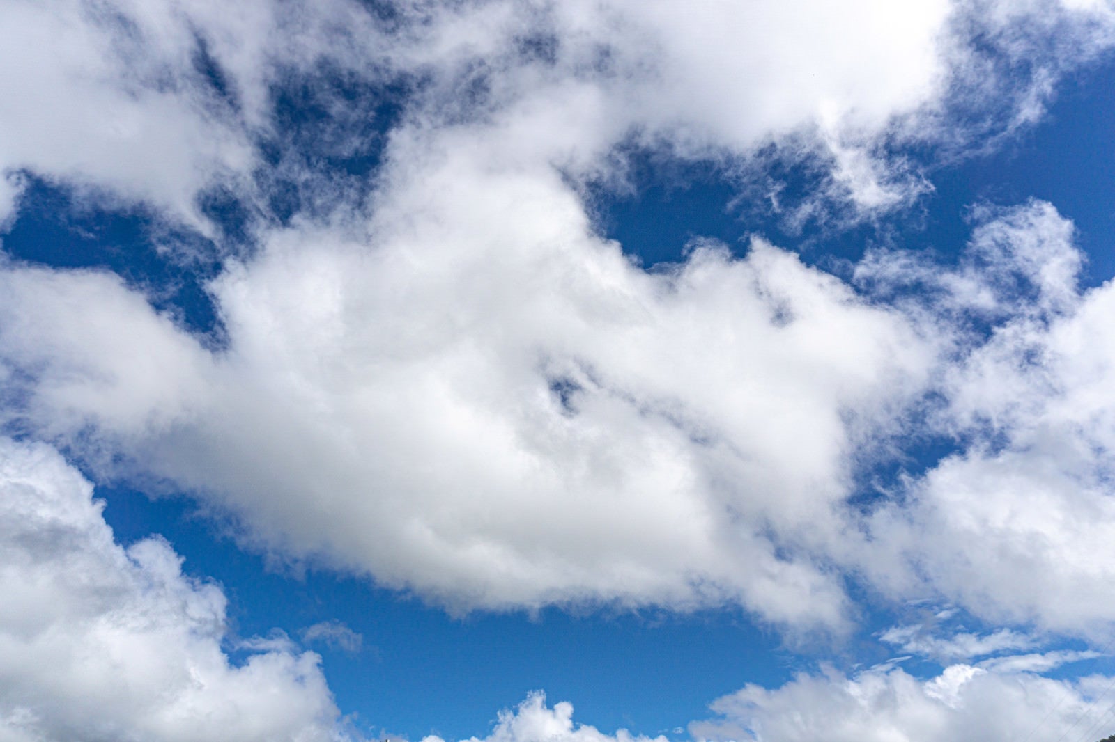 「青空に浮かぶ塊上の雲」の写真