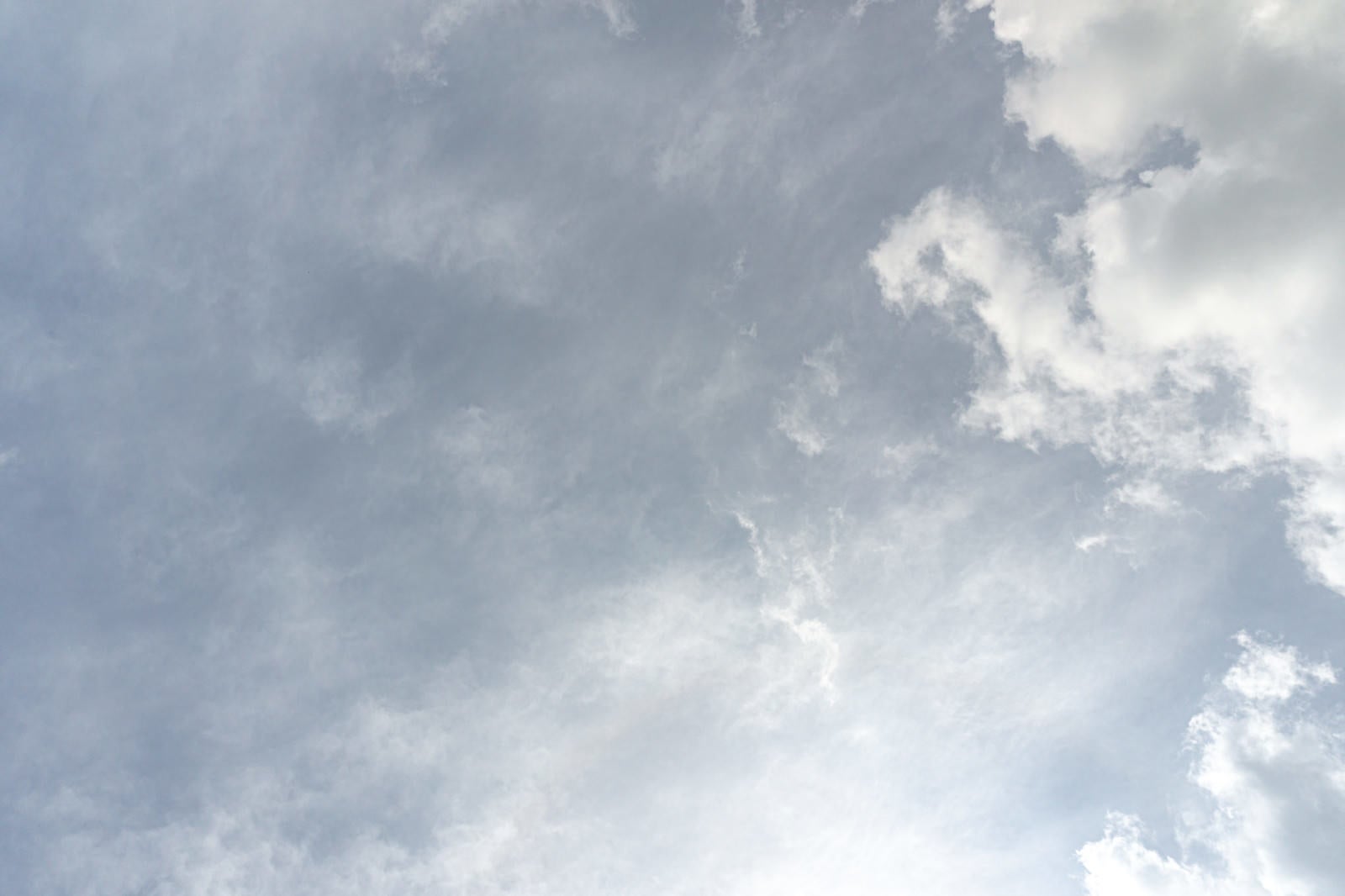 「雨が降りそうな雲に覆われる空」の写真