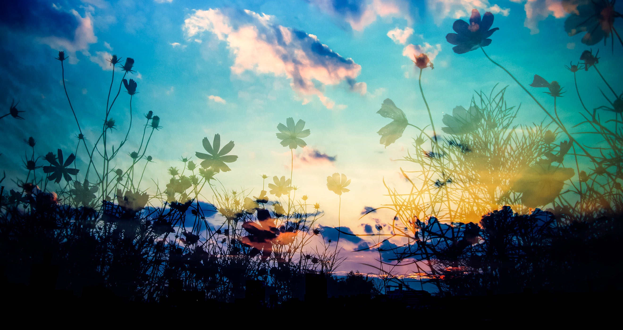 ぱくたそのトップページの背景画像