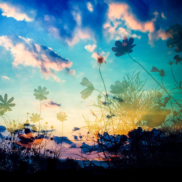 テクスチャーの写真をまとめたカテゴリ