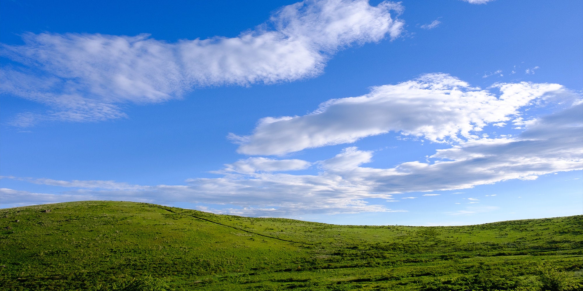 ぱくたそのトップページの背景画像