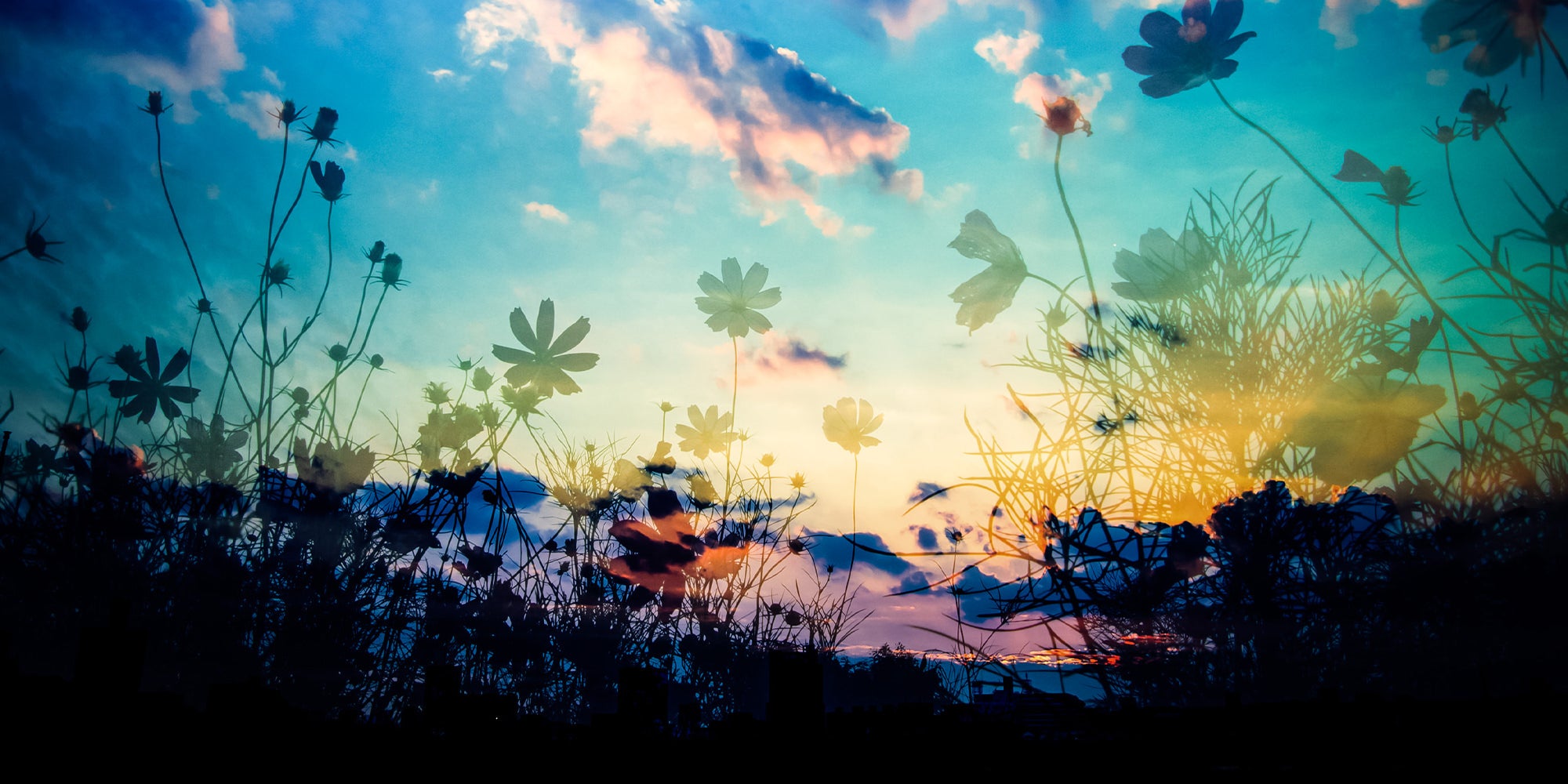 ぱくたそのトップページの背景画像